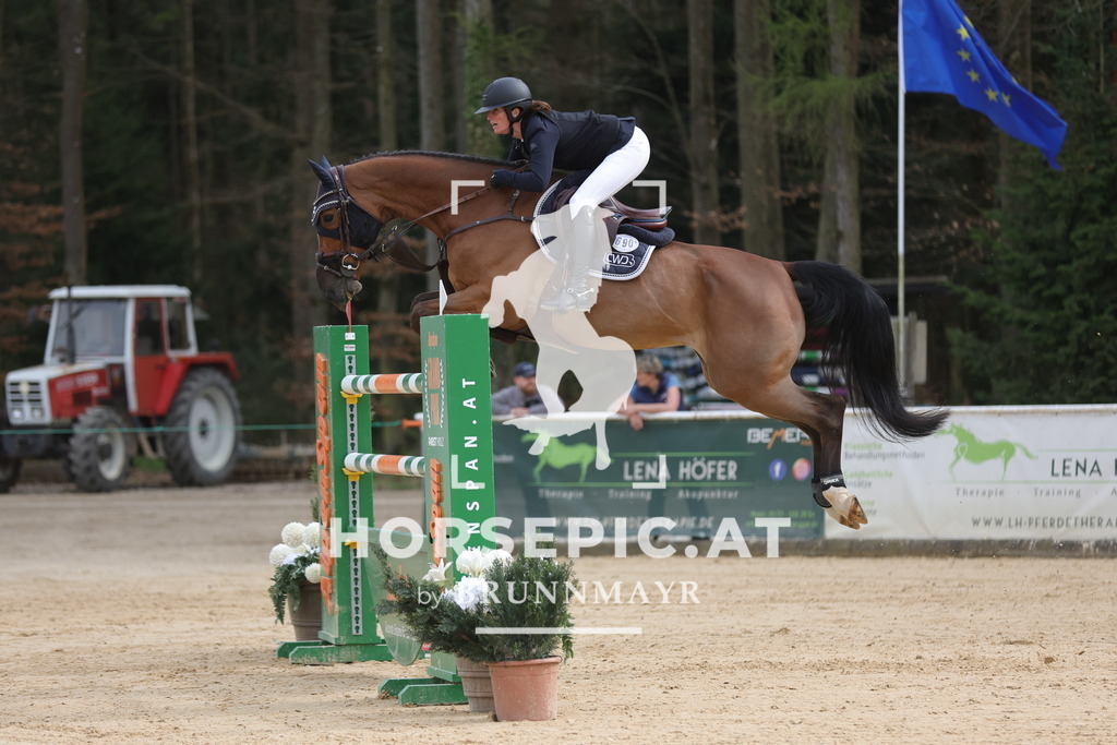 0P6A7099 | Willkommen bei Brunnmayr - Design & Fotografie – Ihrem Spezialisten für Reitturniere und Pferdeveranstaltungen in Oberösterreich, Salzburg und Bayern! Seit über 17 Jahren sind wir leidenschaftlich dabei.