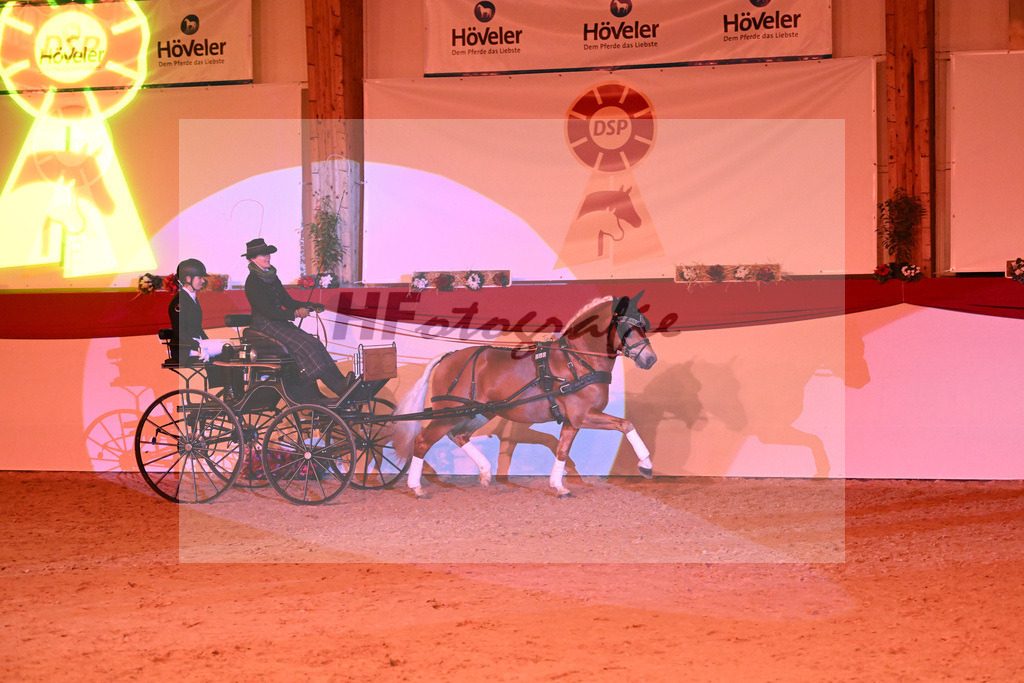 Avici Ass_1234960 | hf-fotografie - Realisiert mit Pictrs.com