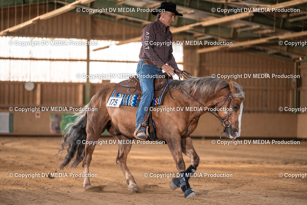 Balingen Tag 2-1381 | dv-media-shop - Realisiert mit Pictrs.com