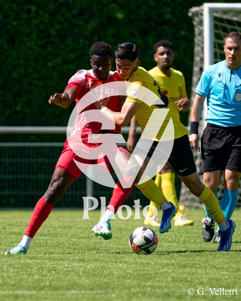 DSC_7450 | Velletri Photo