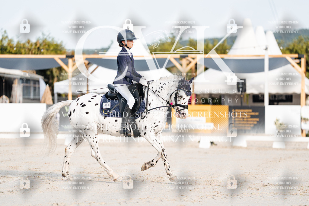 CK903664 | Turnierfotografie Pferdefotografie Trier Rheinland-Pfalz Pferdesport Reitsport Tierfotografie Sportfotografie Pferdevideo Pferdevideografie Equestrianvideography equestrianphotography  - Realisiert mit Pictrs.com