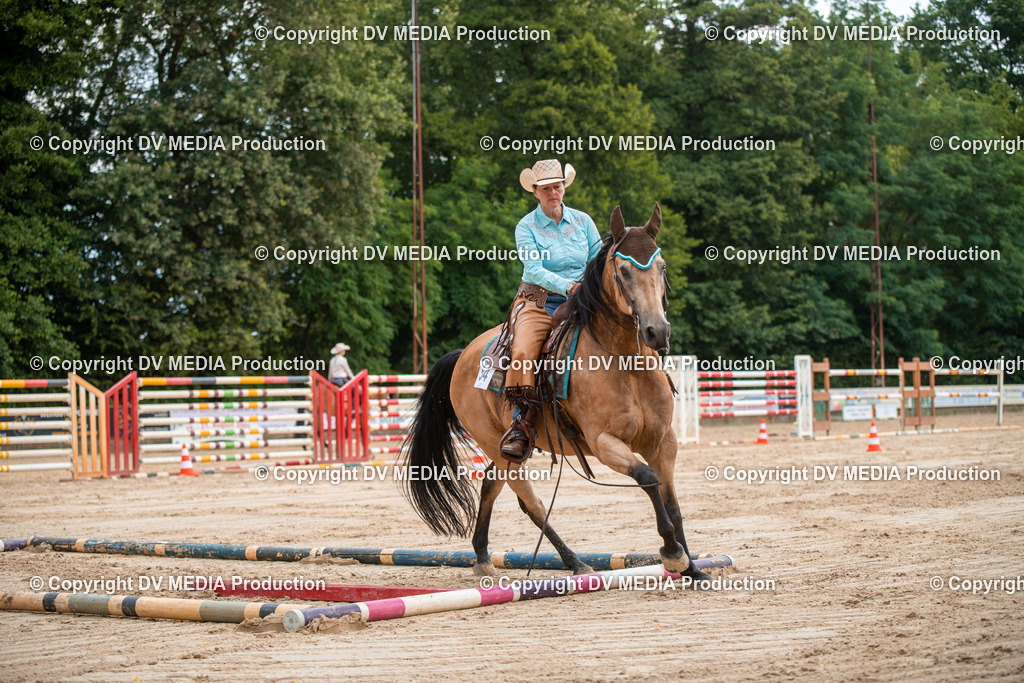 ZS2_8407 | dv-media-shop - Realisiert mit Pictrs.com