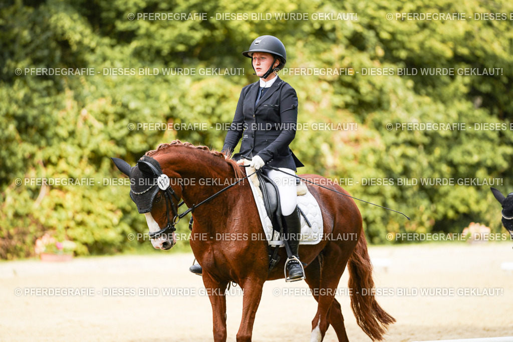 DSC03631 | Pferdegrafie