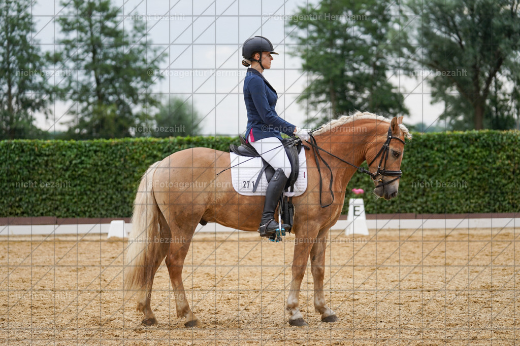 20240630-FAH00789 | Turnierbilder Schwabmünchen, Dressurbilder, Springreitturnier, Reitsportbilder, Turnierfotografen Bayern, Turnierfotograf