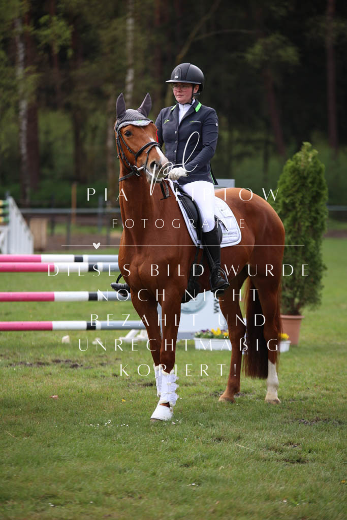 IMGT3445 | pl-fotografie