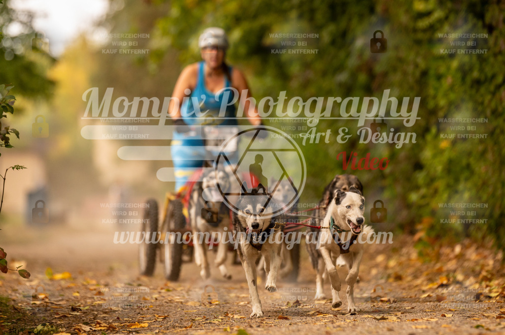 CDLBDB_14_10_2023_Samedi-21 | PayLife