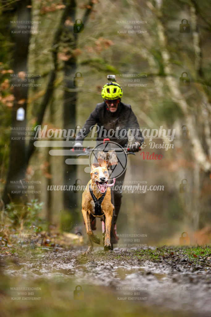 MompixPhotography_CDSM24_SA_DS1-23 | PayLife