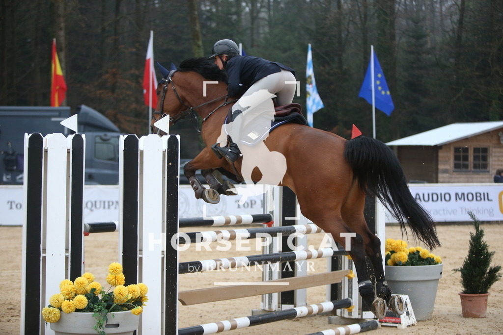 PP012983 | Willkommen bei Brunnmayr - Design & Fotografie – Ihrem Spezialisten für Reitturniere und Pferdeveranstaltungen in Oberösterreich, Salzburg und Bayern! Seit über 17 Jahren sind wir leidenschaftlich dabei.