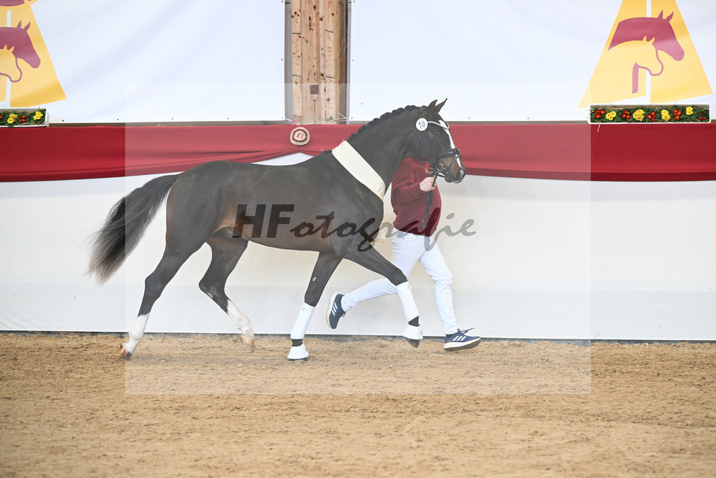 Kat.-Nr. 10 v. Chubakko_Ottmann_2251671 | hf-fotografie - Realizzato con Pictrs.com