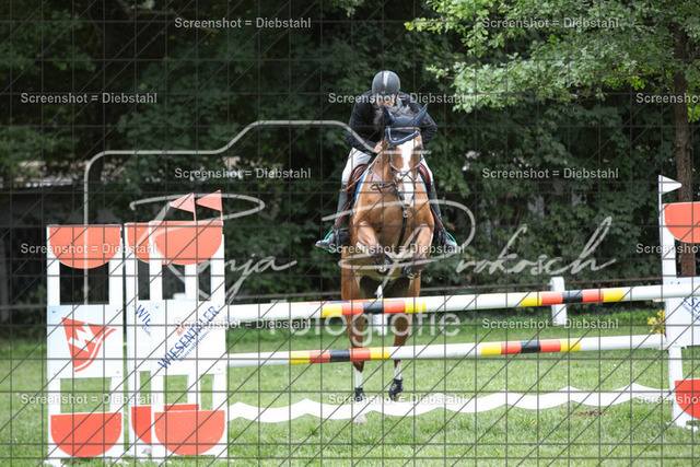 _W6A1269 | ronjaprokoschfotografie - Realisiert mit Pictrs.com