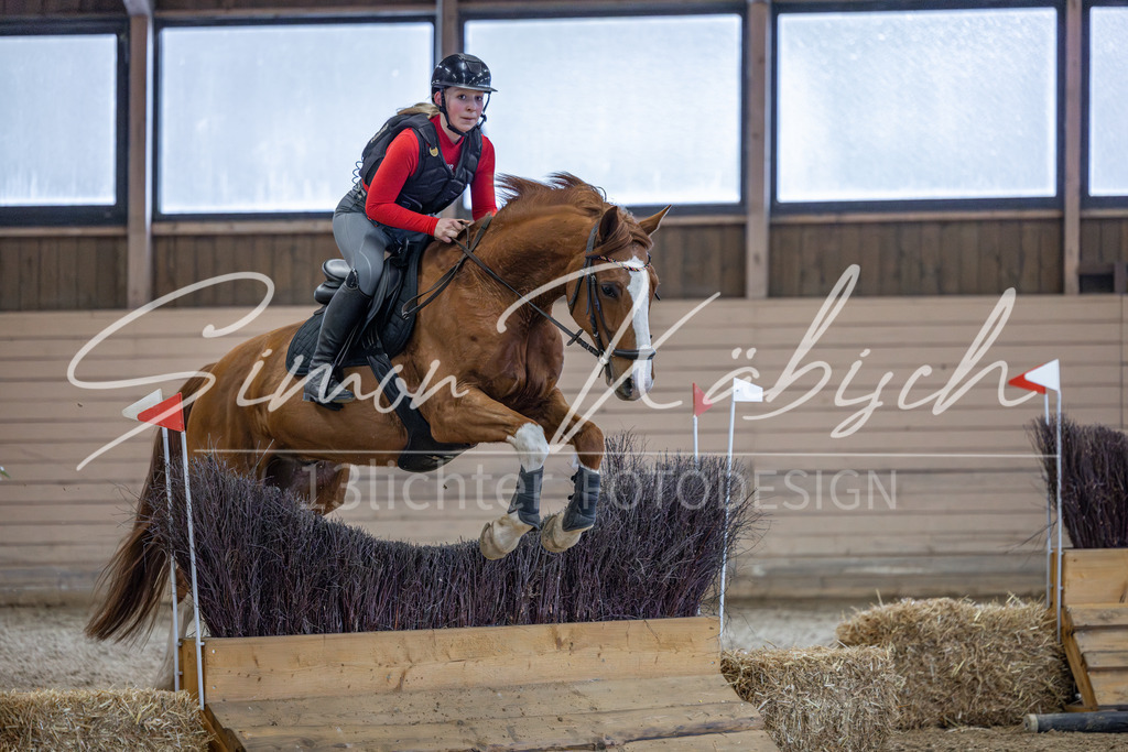 20260221-_3LI9154 | Tierfotografie Pferde, Hunde, Katzen, Haustiere.
Turnierfotografie Reitturniere, Reiten, Springreiten, Dressur in Hanau, dem Main-Kinzig-Kreis und dem Rhein-Main- Gebiet um Frankfurt