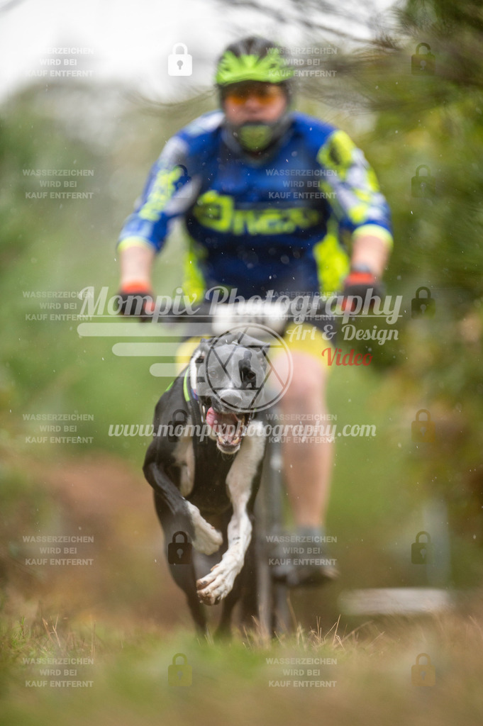 TSB_2023_E5_Bike-29 | PayLife