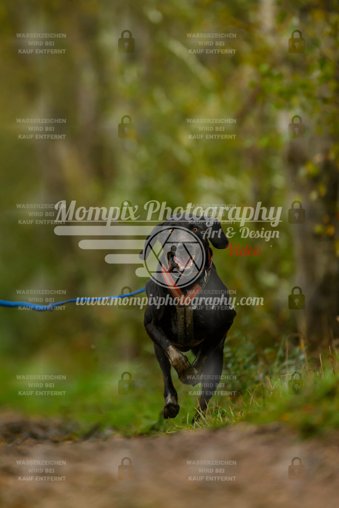 MompixPhotography_20TSB_E6_Bike-114 | PayLife