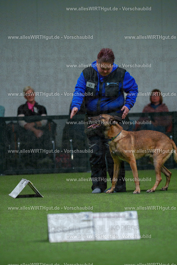 7R503725 | Professionelle Tierfotografie in Mönchengladbach von Daniel Wirth (allesWIRTHgut). Liebevolle & natürliche Bilder von Hunden & Katzen für unvergessliche Erinnerungen.