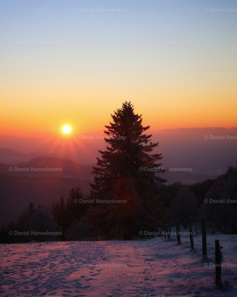 IMG_1463 | Hier finden Sie Poster, Leinwandfotos sowie viele weitere Fotoprodukte mit Motiven aus dem Schwarzwald, aus Freiburg und dem Kaiserstuhl zum Download und zum Bestellen.  - Realisiert mit Pictrs.com
