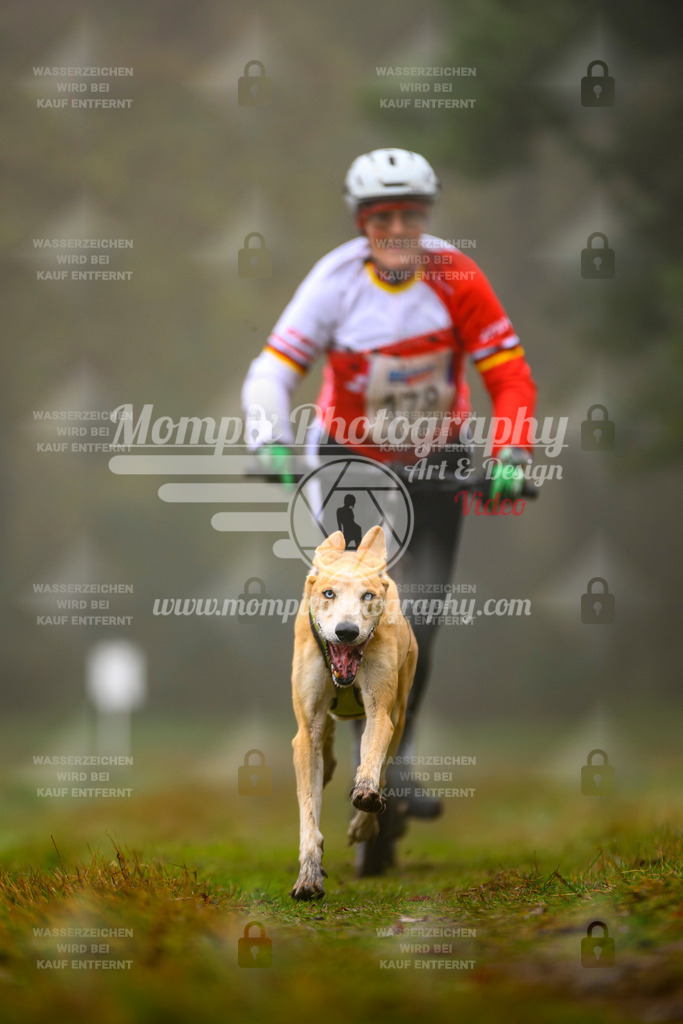 MompixPhotography_Bischwiller2025_Scooter-59 | mompixphotography