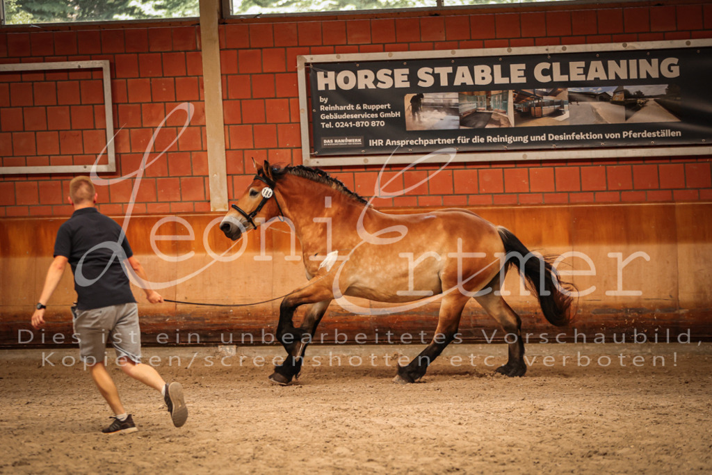 SaFL00118 | Leoni Ertmer Photography - Realisiert mit Pictrs.com