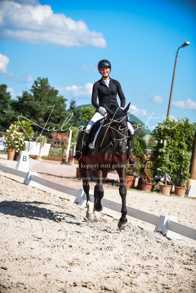 DSC_9758 | Pferde- und Turnierfotografie in Westsachsen. Pferdeportraits, Auftragszeichnungen und intuitive Kunst.