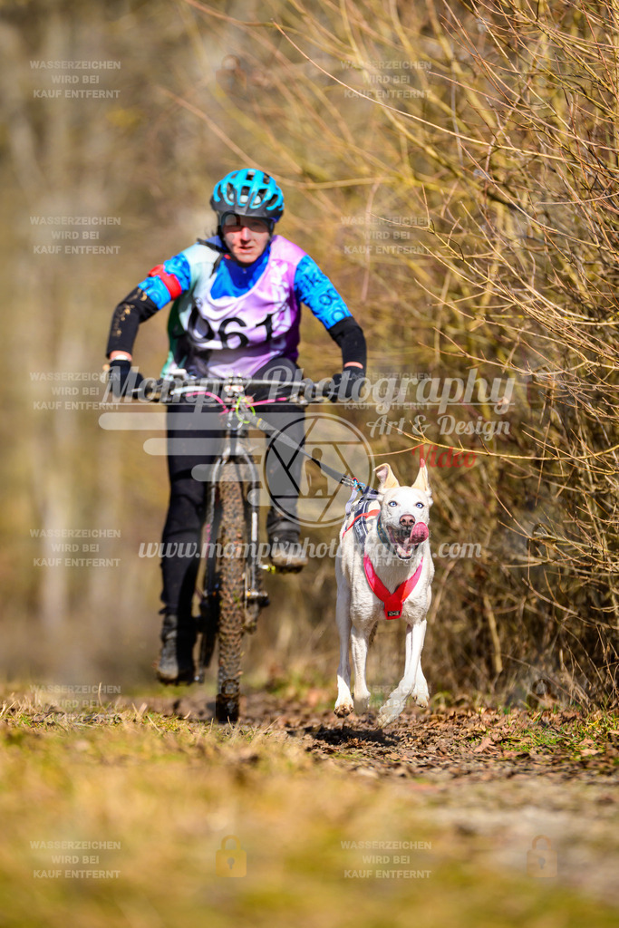 MompixPhotography_Schwabentrail2025_SO_Bike-81 | PayLife