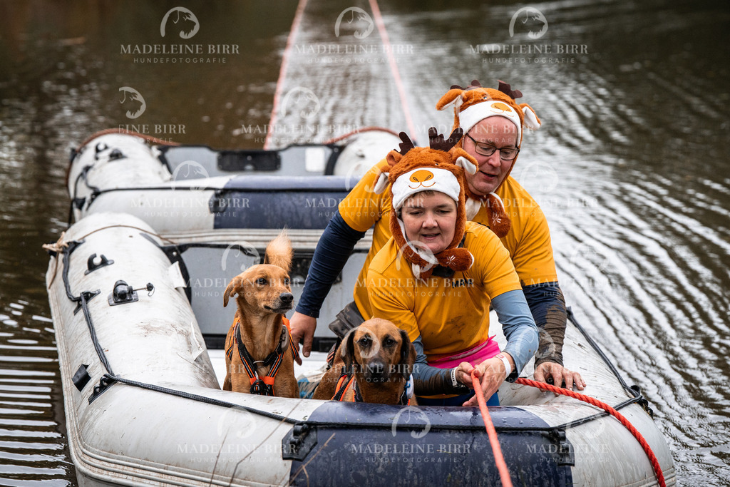 madeleinebirr-fotografie2025.campcanis.Startbis9Uhr-66 | hundefotografie-birr