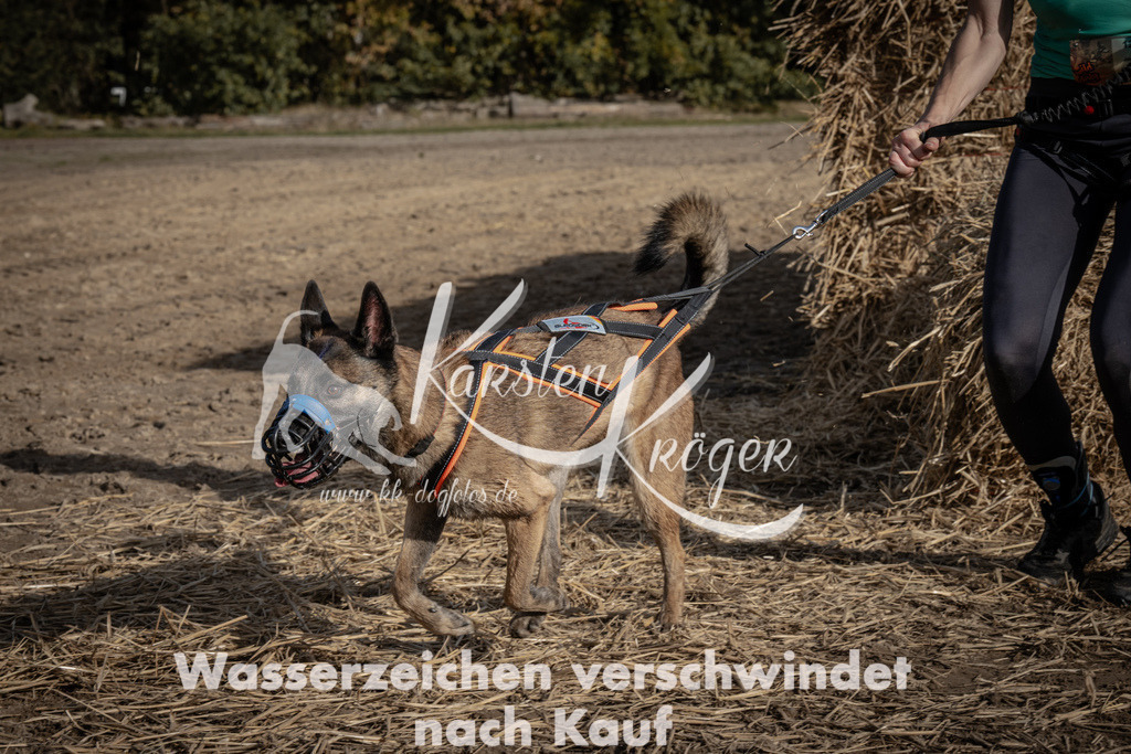 1201_ZZ93436 | kk-dogfotos