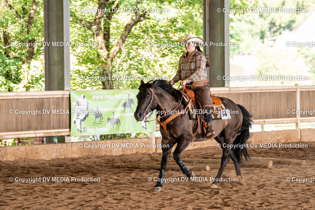 Erbach Tag 1-1006 | dv-media-shop - Realisiert mit Pictrs.com