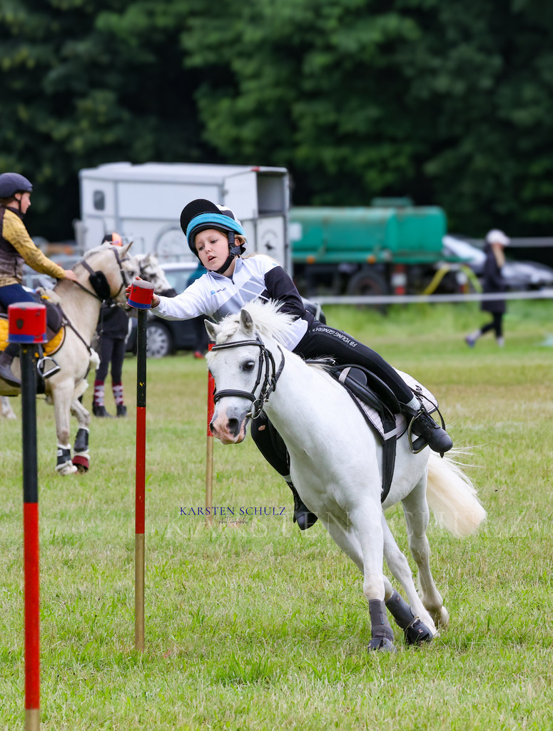 1B3A0085 | Reitsport Reiten