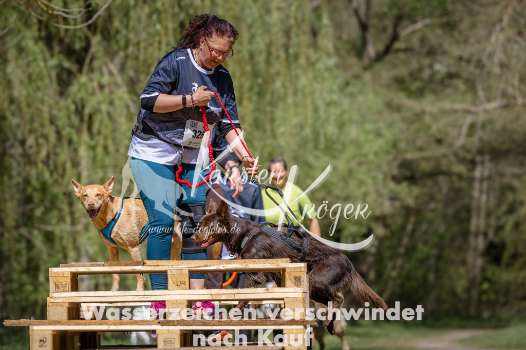 1226_ZZ91801 | kk-dogfotos