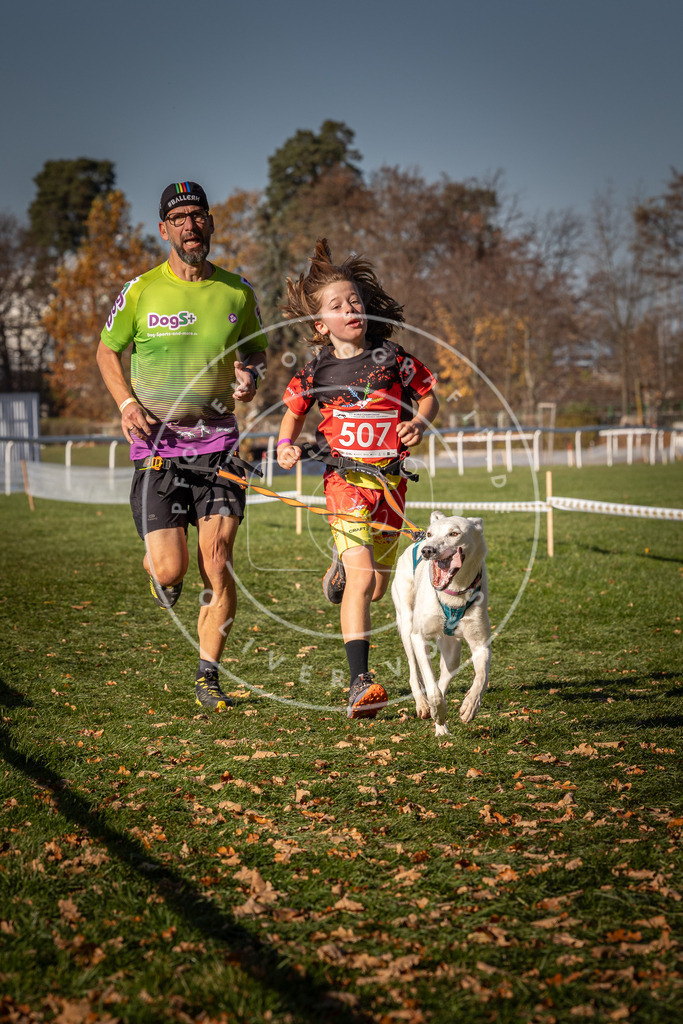 CaniXpix_0L8A6750 | Hundefotografie, Tierfotograf, Pfotenfotografie, Fotoshooting Hund, Hunde Portrait, Hundesport, Hundeportraits, Heideshooting, Hunde, Sportfotograf, Hundefotograf, Turnierhundsport, THS,  - Realisiert mit Pictrs.com