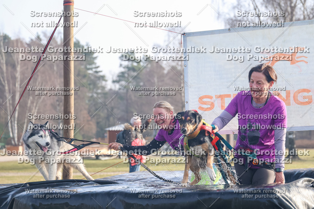 Dog Paparazzi - Strongdog North Mrz26-52 | Dog Paparazzi Jeanette Grottendiek Fotografie & Videografie - Realisiert mit Pictrs.com