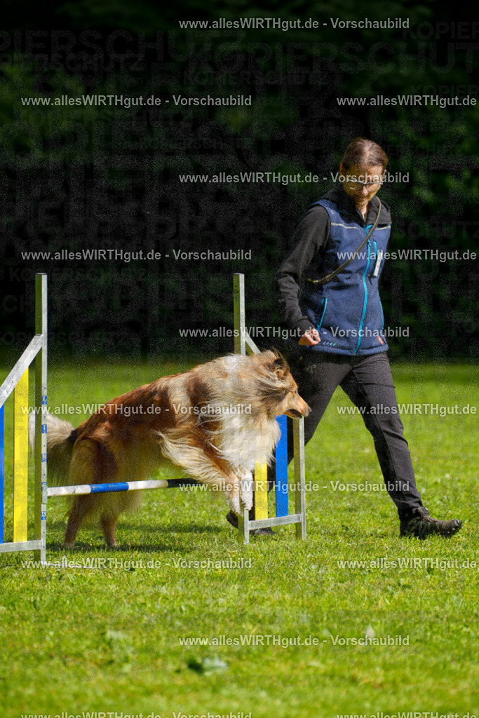 @allesWIRTHgut_Tierfotografie - www.allesWIRTHgut.de - 7R502962 | Professionelle Tierfotografie in Mönchengladbach von Daniel Wirth (allesWIRTHgut). Liebevolle & natürliche Bilder von Hunden & Katzen für unvergessliche Erinnerungen.