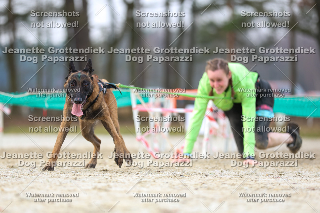 Dog Paparazzi - Strongdog North Mrz26-3938 | Dog Paparazzi Jeanette Grottendiek Fotografie & Videografie - Realisiert mit Pictrs.com