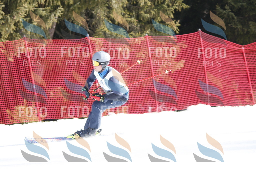 D7108 | holidayphoto