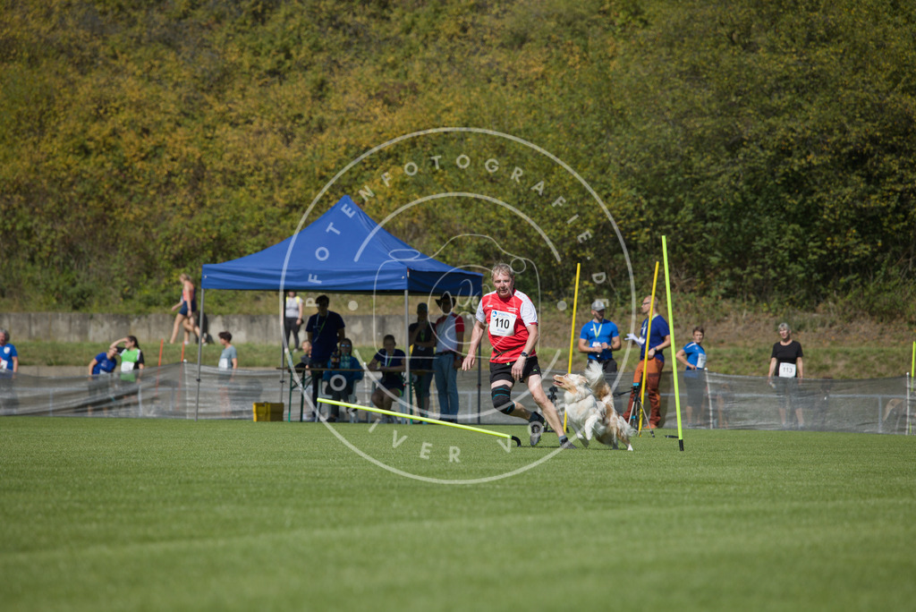 0L8A2676 | Hundefotografie, Tierfotograf, Pfotenfotografie, Fotoshooting Hund, Hunde Portrait, Hundesport, Hundeportraits, Heideshooting, Hunde, Sportfotograf, Hundefotograf, Turnierhundsport, THS,  - Realisiert mit Pictrs.com