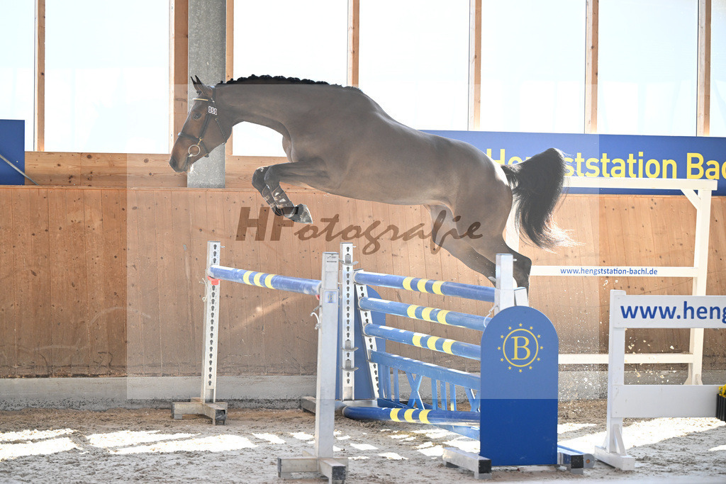 Kat-Nr. 50 Rosalina B v. Vingino_Bachl_14261685 | hf-fotografie - Realizzato con Pictrs.com