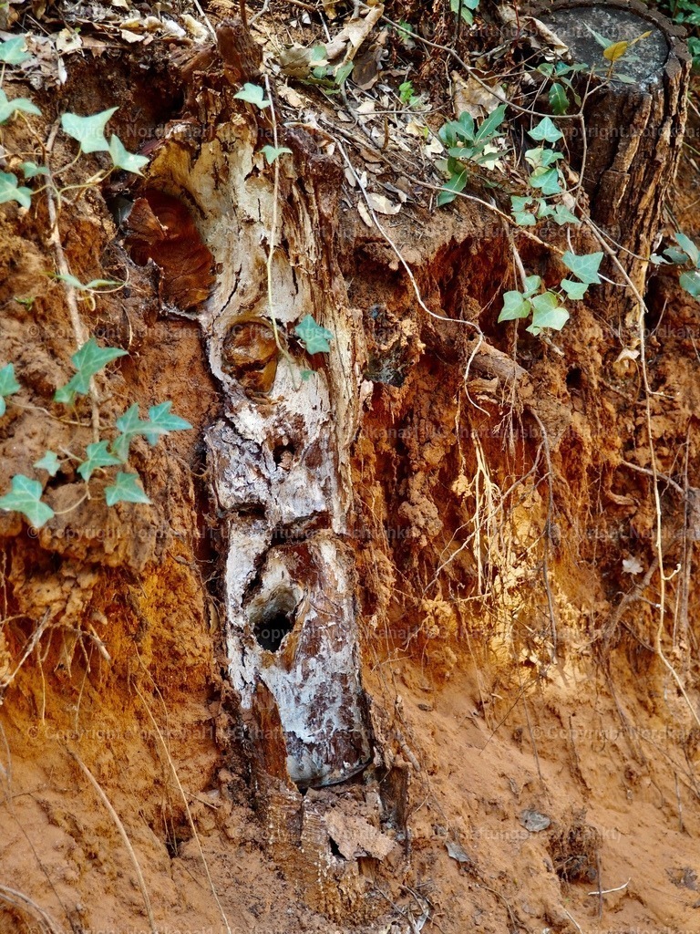 IMG_2918 | OLYMPUS DIGITAL CAMERA          - Realisiert mit Pictrs.com