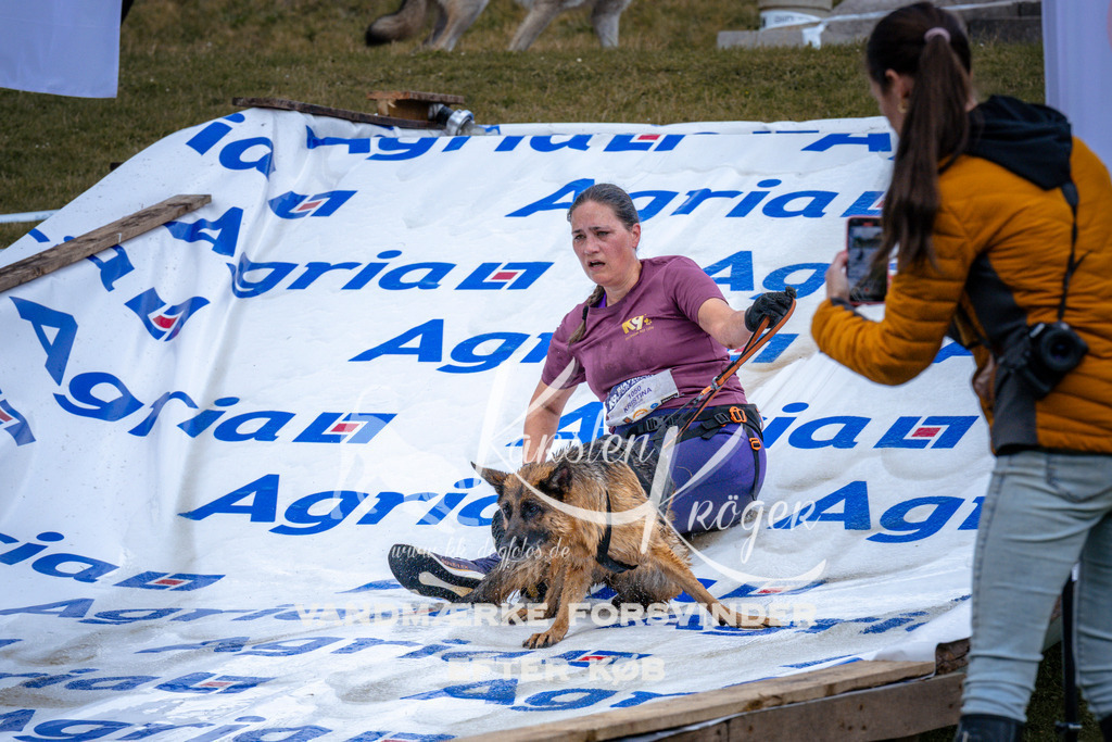 _ZZ913990913 | kk-dogfotos