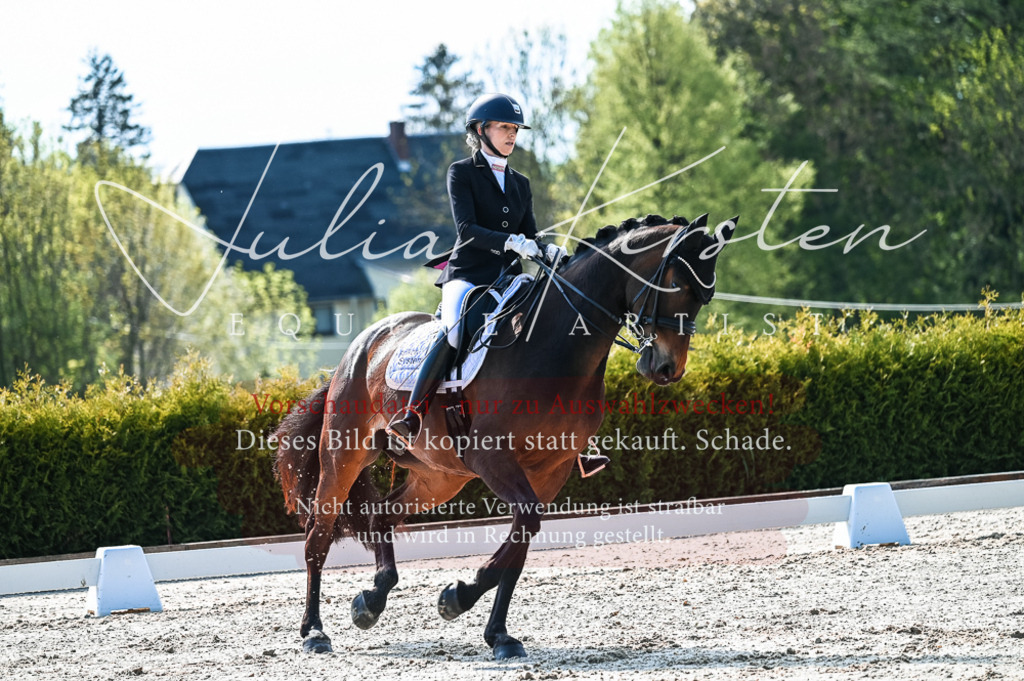 20230513_JK-Röhrsdorf-10-0218 | Pferde- und Turnierfotografie in Westsachsen. Pferdeportraits, Auftragszeichnungen und intuitive Kunst.