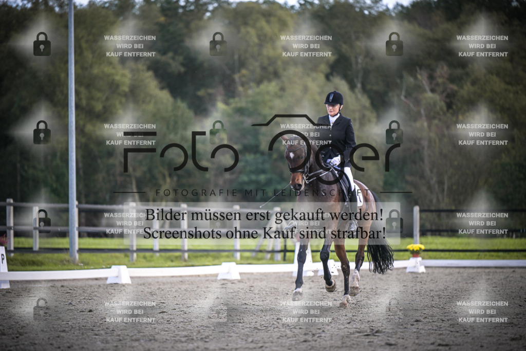 DOS_0663 | Entdecke hochwertige Reitturnierfotos von Foto Oger. Professionell, emotional und authentisch – jetzt Lieblingsmomente im Shop bestellen.Deutschlandweite Turnierfotografie. - Realisiert mit Pictrs.com