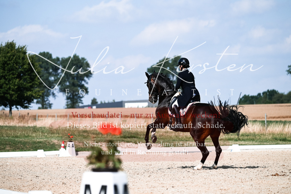 DSC_3392 | Pferde- und Turnierfotografie in Westsachsen. Pferdeportraits, Auftragszeichnungen und intuitive Kunst.