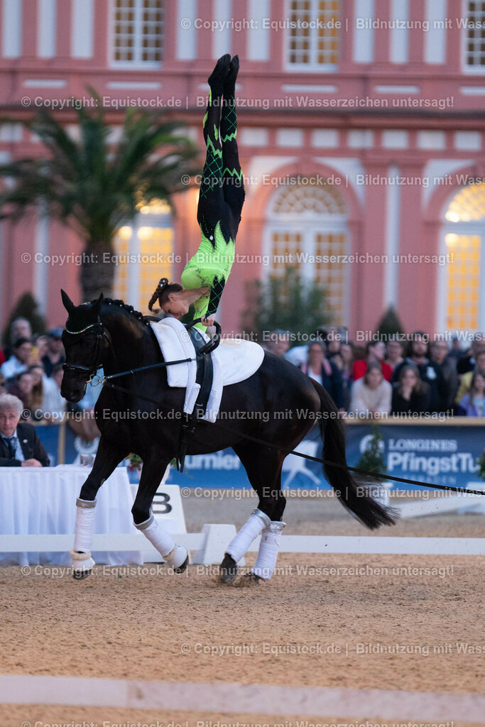 20230527_Voltigieren_NASPA_Flutlicht_0403 | equistock