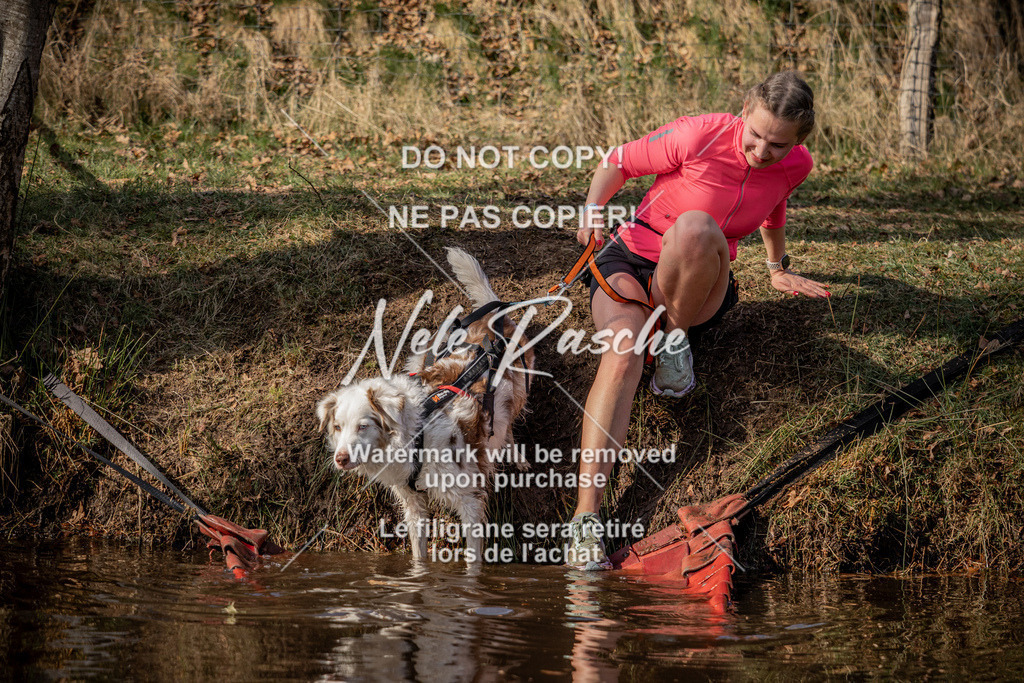 nelerasche_FS1330-1400_202 | nelerasche