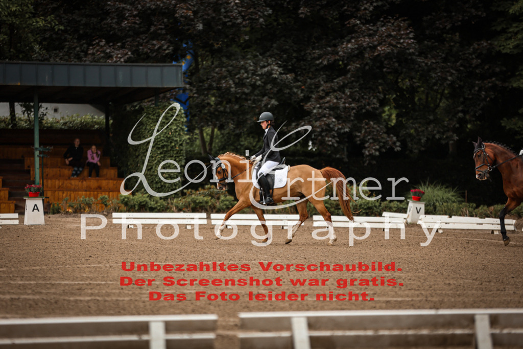 4.DoDrE00010 | Leoni Ertmer Photography - Realisiert mit Pictrs.com