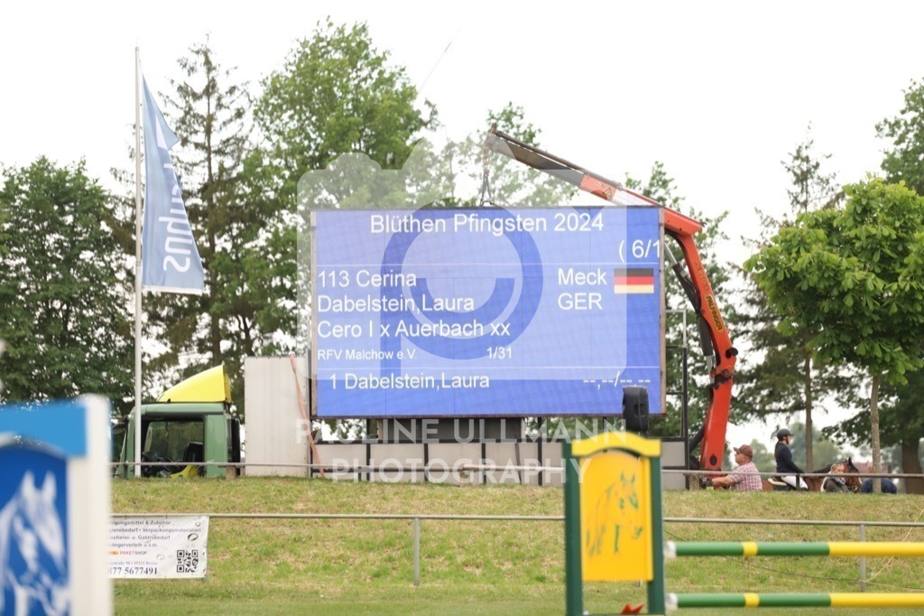 IMG_6707 | Pauline Ullmann Photography - Realisiert mit Pictrs.com