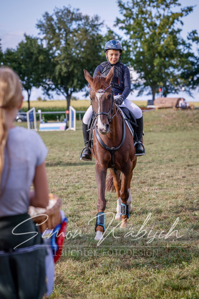 20250905-_3LI2406 | Tierfotografie Pferde, Hunde, Katzen, Haustiere.
Turnierfotografie Reitturniere, Reiten, Springreiten, Dressur in Hanau, dem Main-Kinzig-Kreis und dem Rhein-Main- Gebiet um Frankfurt