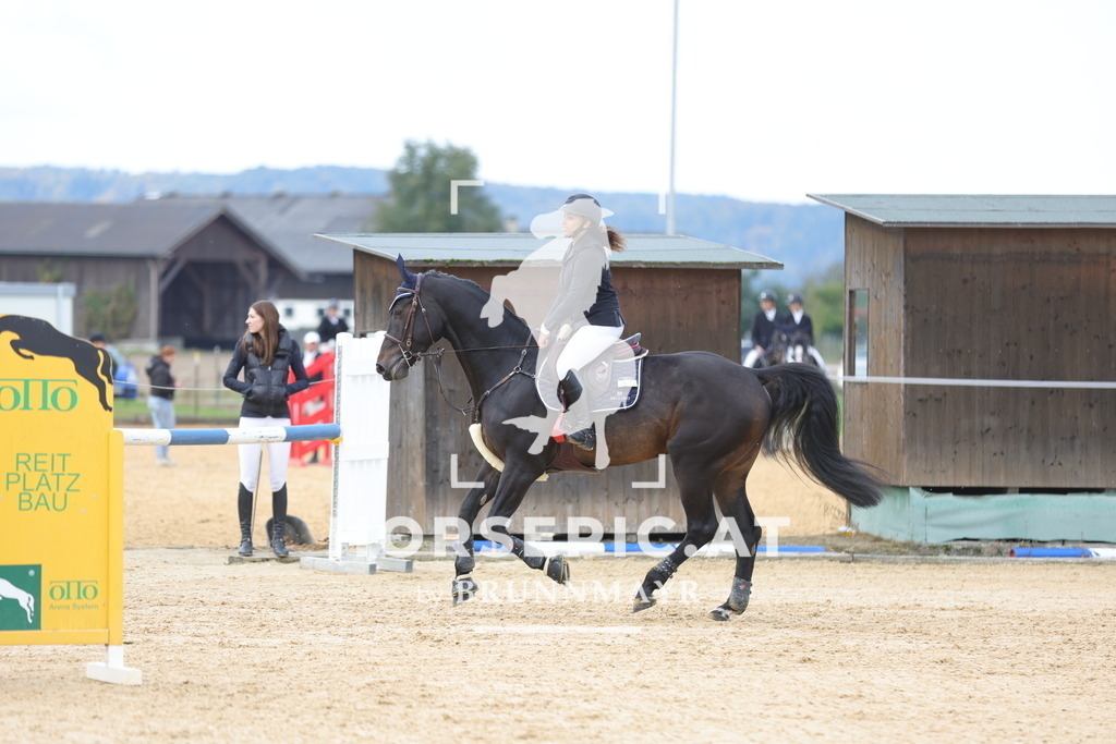 0P6A9398 | Willkommen bei Brunnmayr - Design & Fotografie – Ihrem Spezialisten für Reitturniere und Pferdeveranstaltungen in Oberösterreich, Salzburg und Bayern! Seit über 17 Jahren sind wir leidenschaftlich dabei.