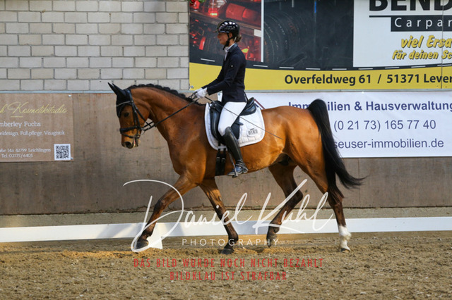 IMG_2600 | Turnierfotos kaufen im Webshop von Daniel Kuhl Photography – entdecke professionelle Reitsportfotos aus Turnieren & Events. Hochwertige Turnierbilder online bestellen & sichern. Jetzt Fotos von Reitsportturnieren kaufen!