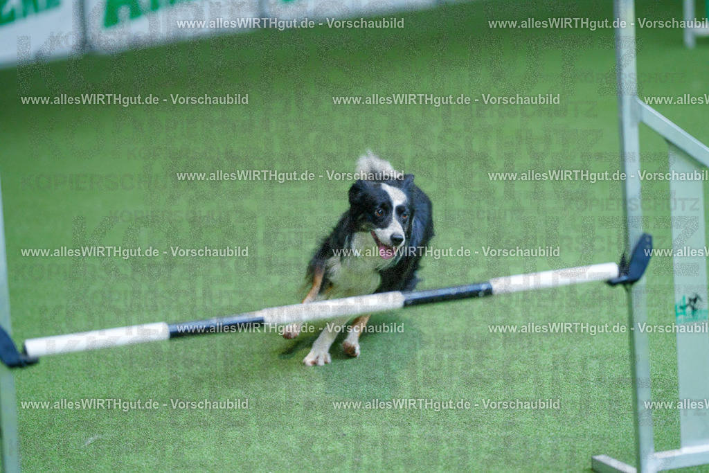 @allesWIRTHgut_Tierfotografie - www.allesWIRTHgut.de - 2604261344-7R502557 | Professionelle Tierfotografie in Mönchengladbach von Daniel Wirth (allesWIRTHgut). Liebevolle & natürliche Bilder von Hunden & Katzen für unvergessliche Erinnerungen.