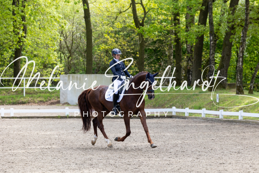 7I8A9237 | melanie-engelhardt-photography - Realisiert mit Pictrs.com