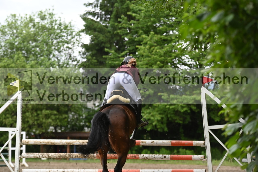 DSC_1555 | equestrian-live-com